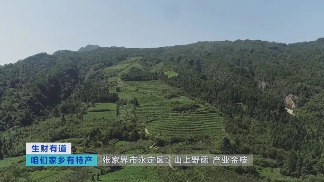 微信圖片_20211028122521.jpg 圖片