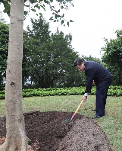 2012年12月7日至11日，習(xí)近平在廣東省考察工作。這是8日上午，習(xí)近平在深圳蓮花山公園種下一棵高山榕樹。新華社記者 蘭紅光 攝