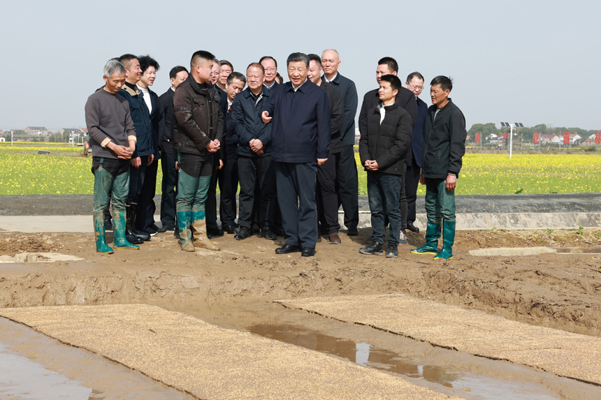 2024年3月18日至21日，中共中央總書記、國家主席、中央軍委主席習近平在湖南考察。這是19日下午，習近平在常德市鼎城區(qū)謝家鋪鎮(zhèn)港中坪村走進田間，察看秧苗培育和春耕備耕進展。新華社記者 王曄 攝